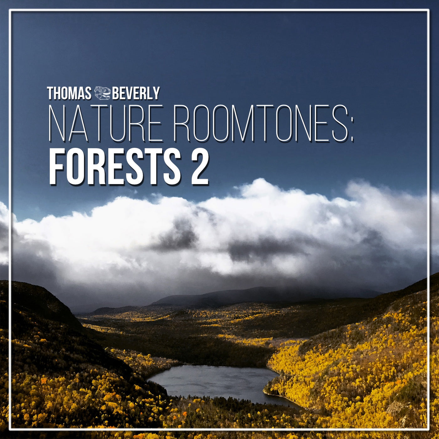 AMB36 Nature Roomtones: Forests 2