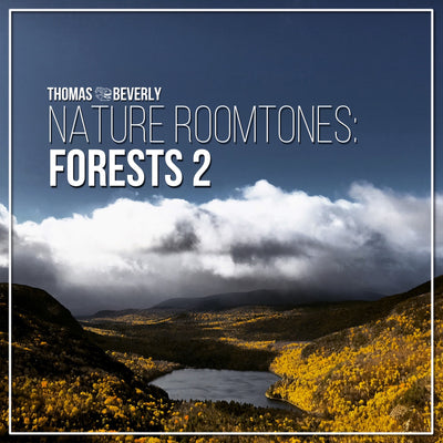 AMB36 Nature Roomtones: Forests 2