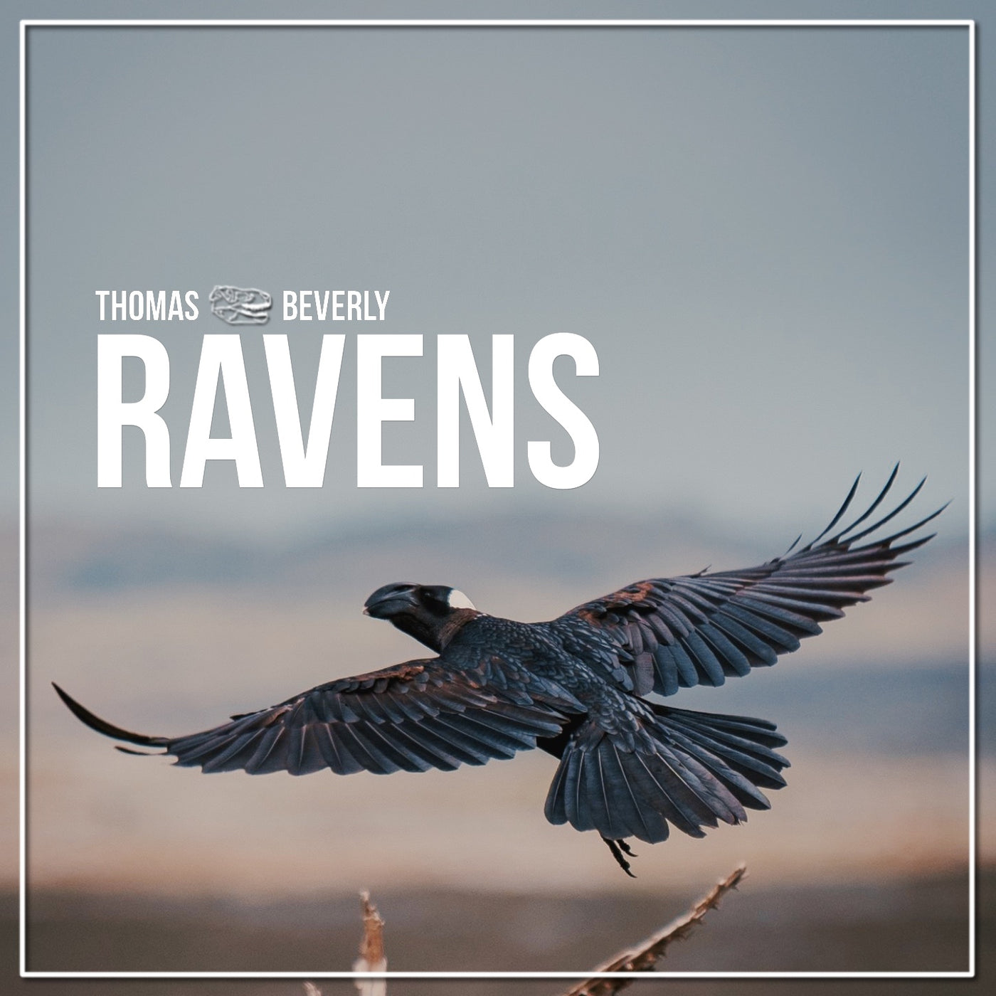 SD27 Ravens