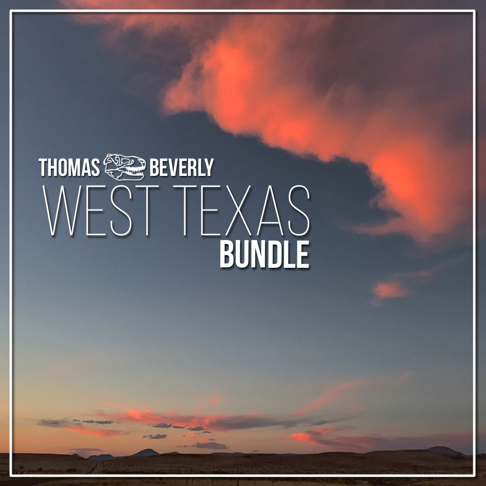 BUNDLE FOR shops THOMAS