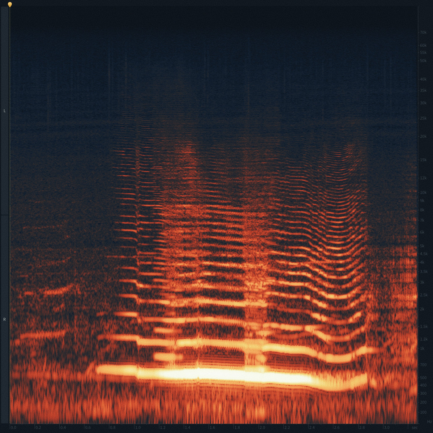 SD41 Humpback Whales