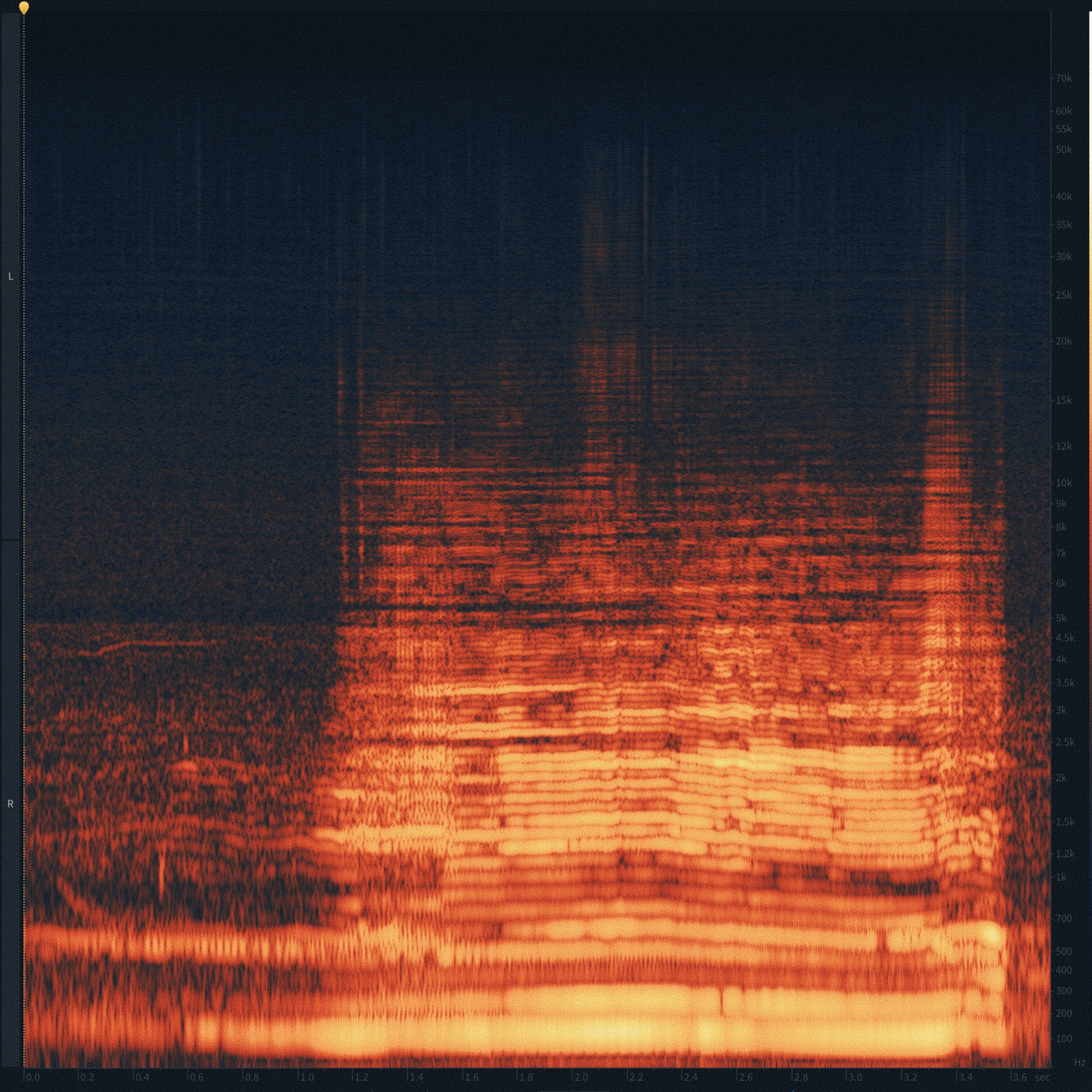 SD41 Humpback Whales