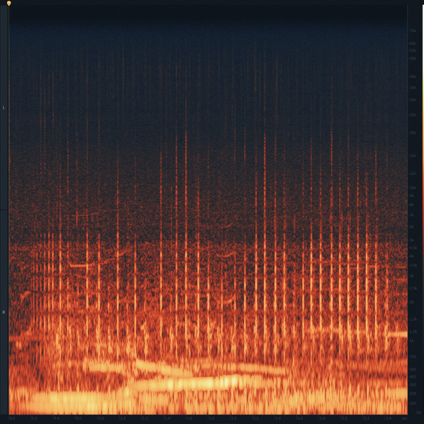 SD41 Humpback Whales