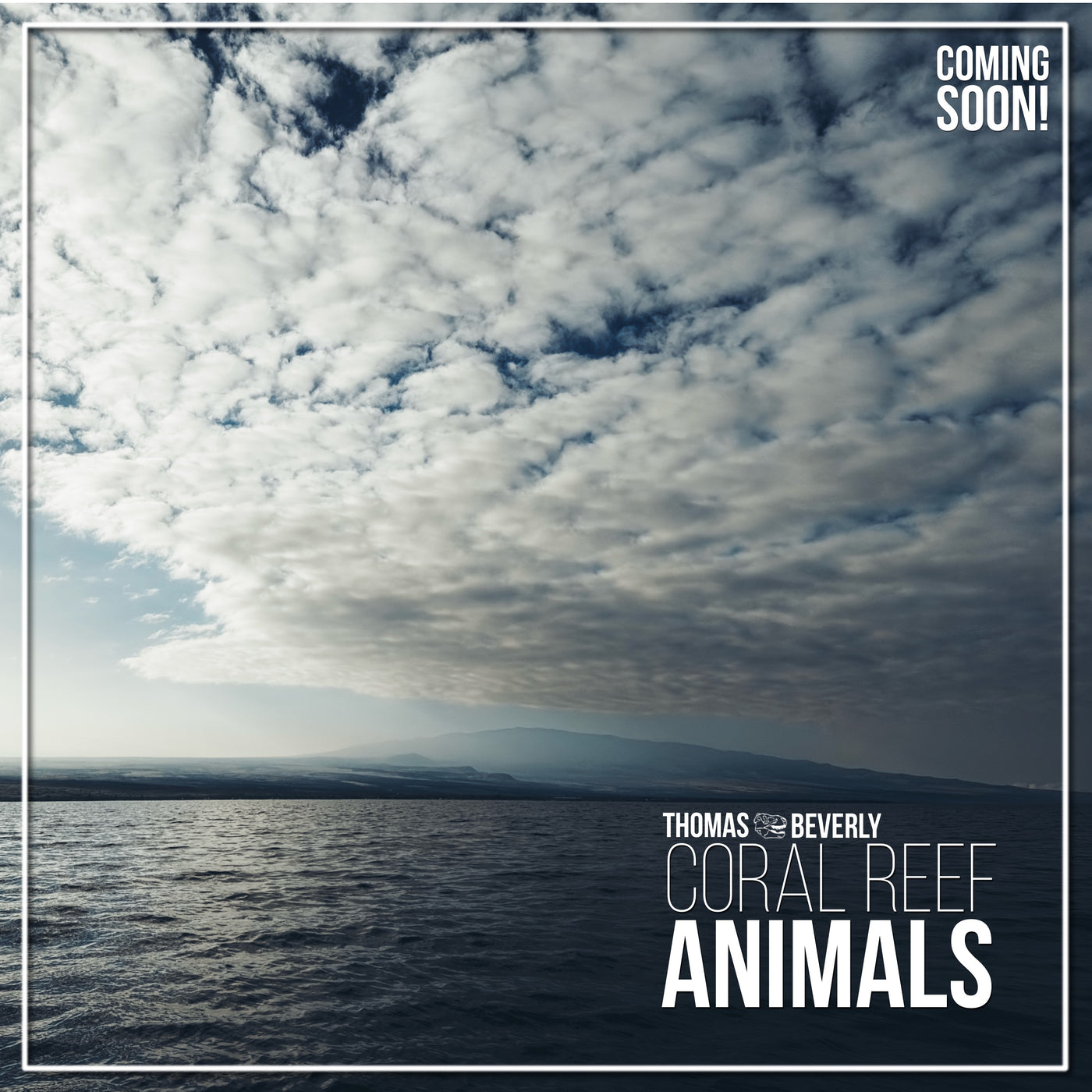 SD40 Coral Reef Animals