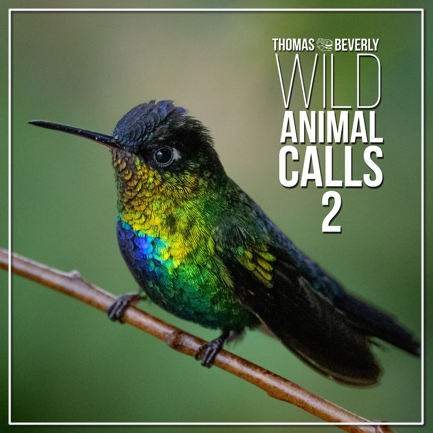 SD37 Wild Animal Calls 2