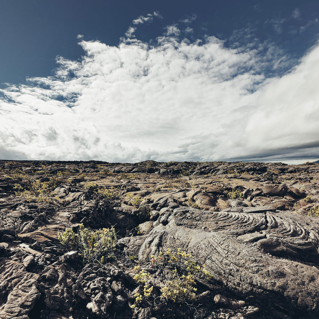 AMB96 Hawaii: Wind – Thomas Rex Beverly Audio