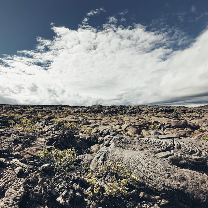 AMB96 Hawaii: Wind – Thomas Rex Beverly Audio