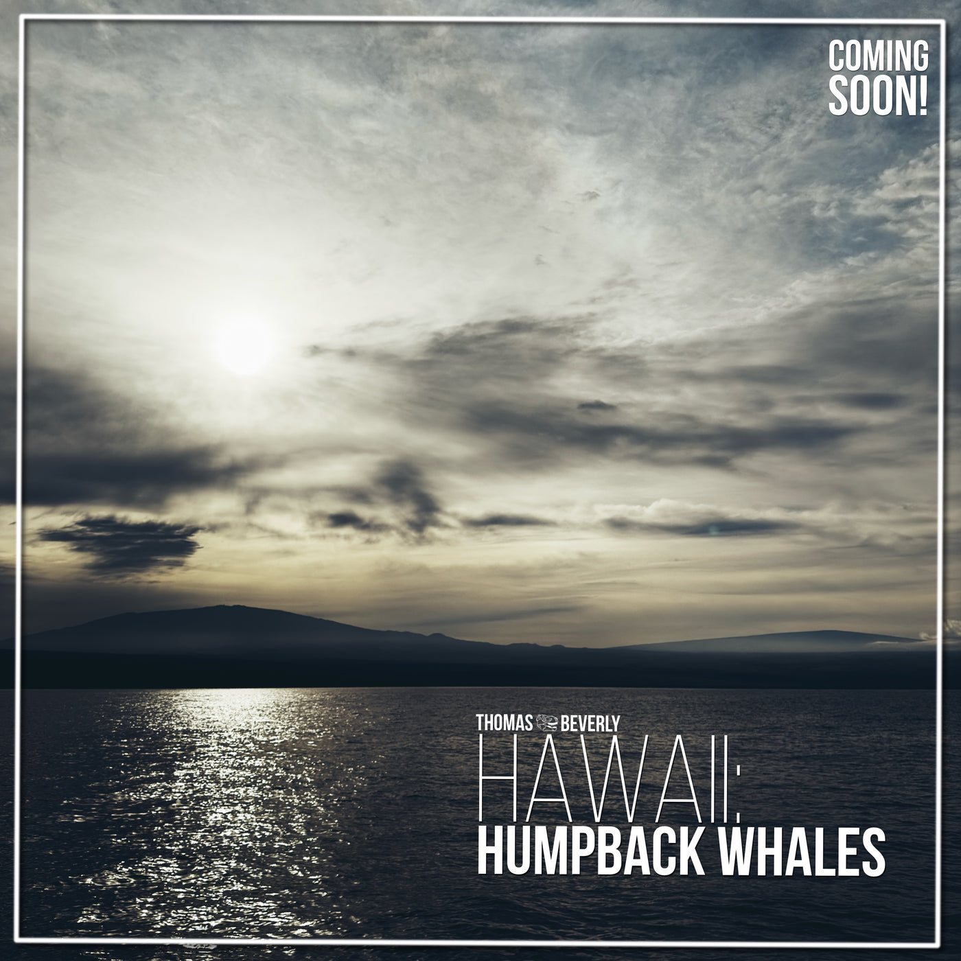 AMB95 Hawaii: Humpback Whales