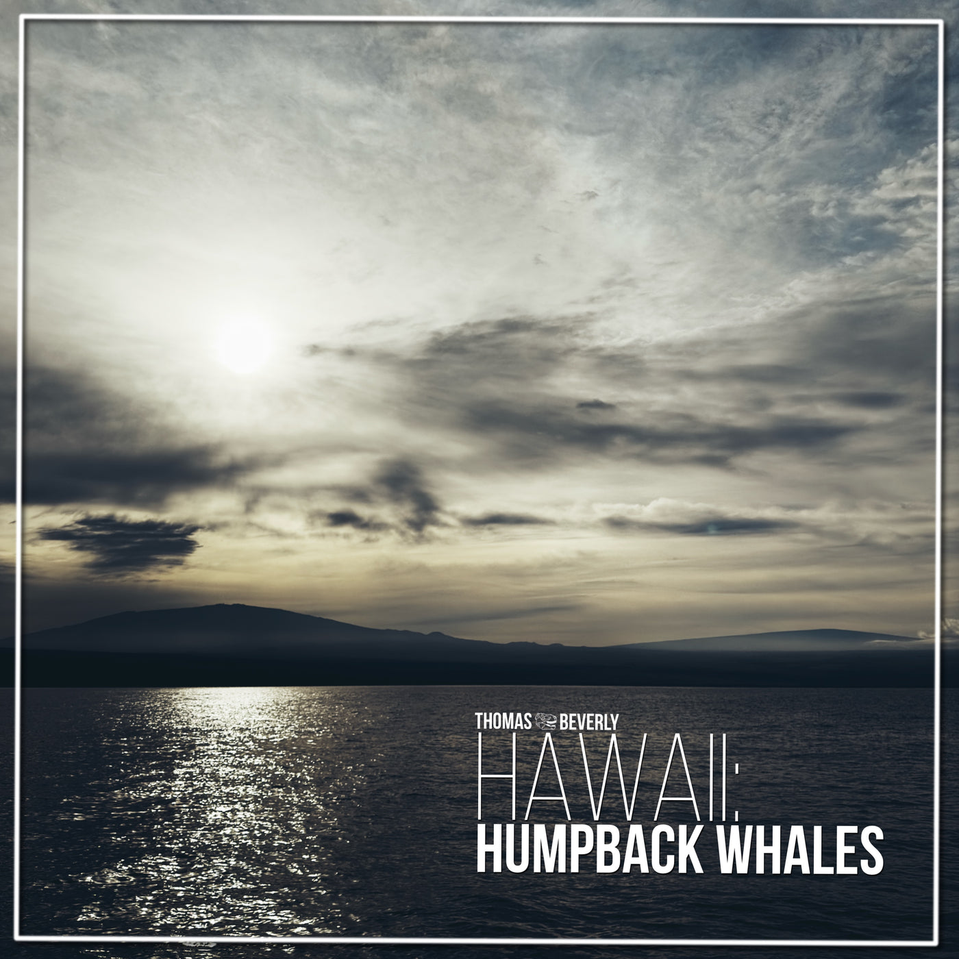 AMB95 Hawaii: Humpback Whales