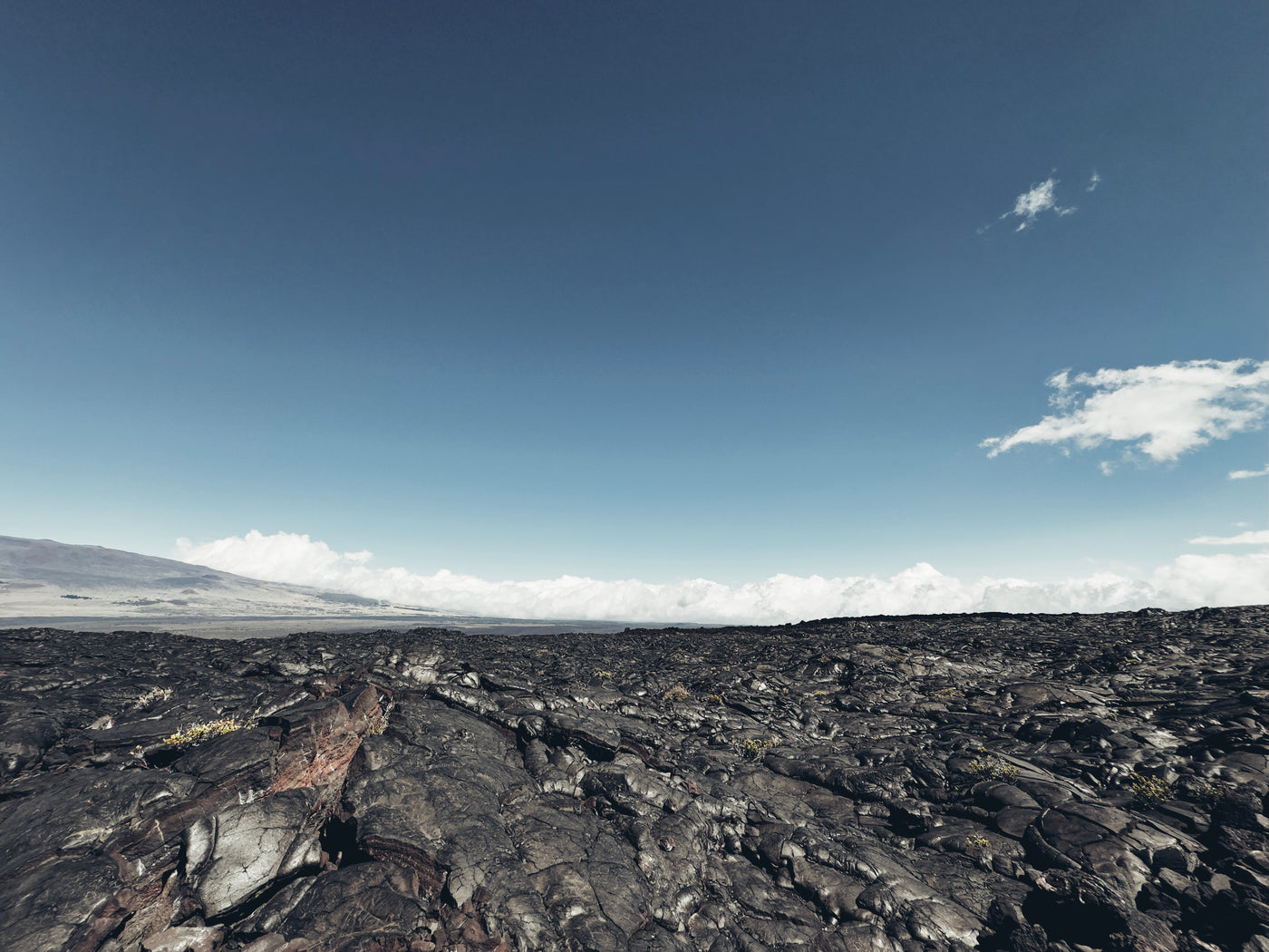 AMB96 Hawaii: Wind – Thomas Rex Beverly Audio