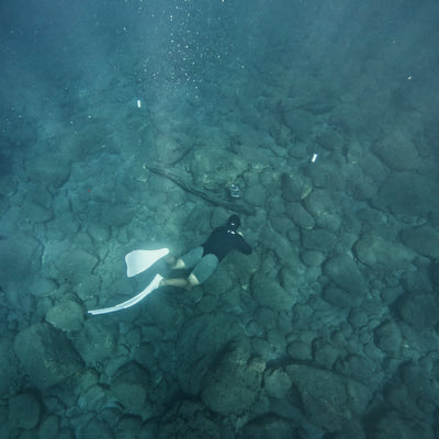 AMB94 Hawaii: Coral Reefs