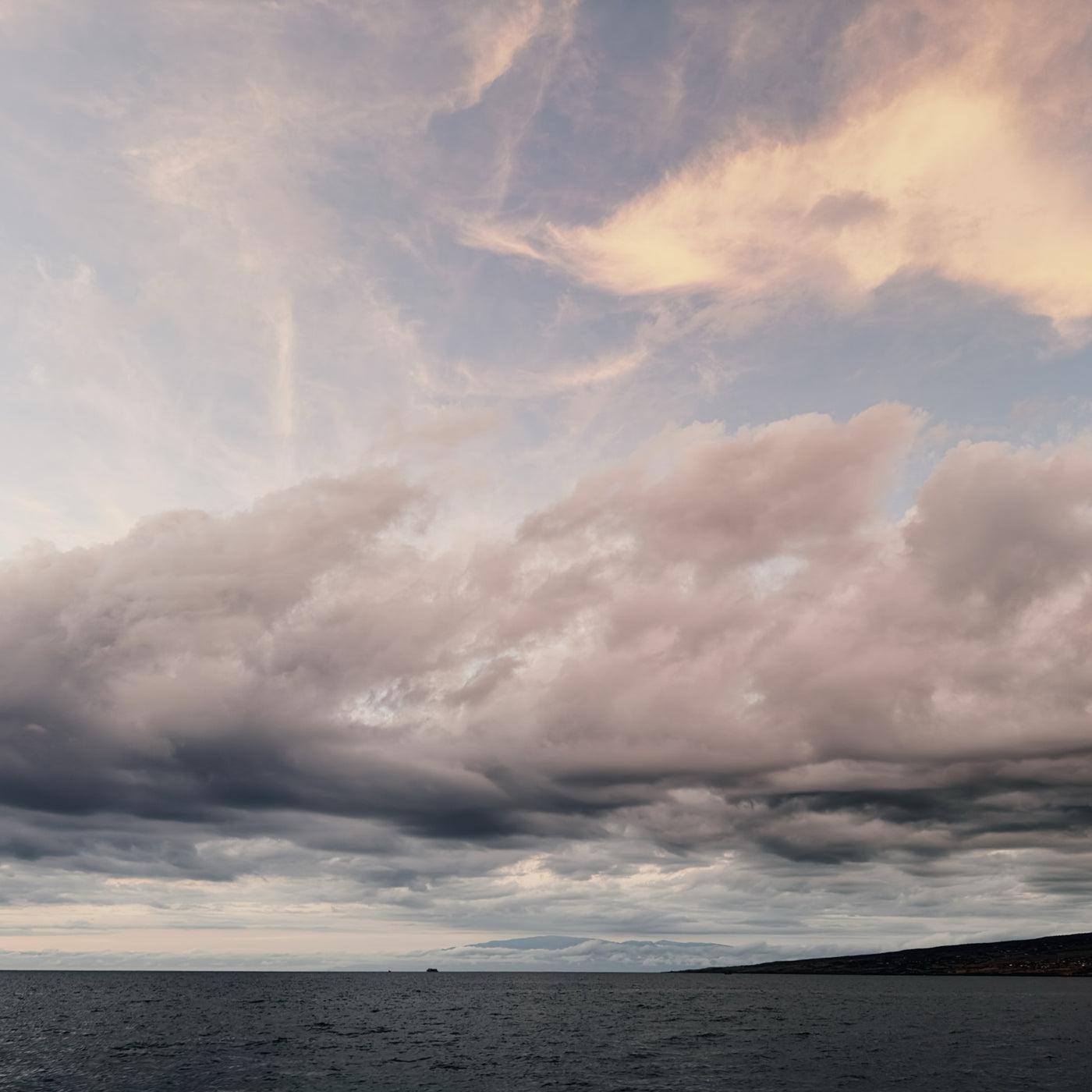 AMB94 Hawaii: Coral Reefs
