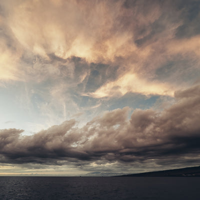 AMB95 Hawaii: Humpback Whales