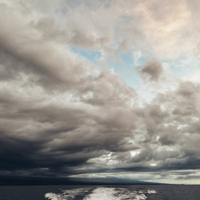 AMB94 Hawaii: Coral Reefs