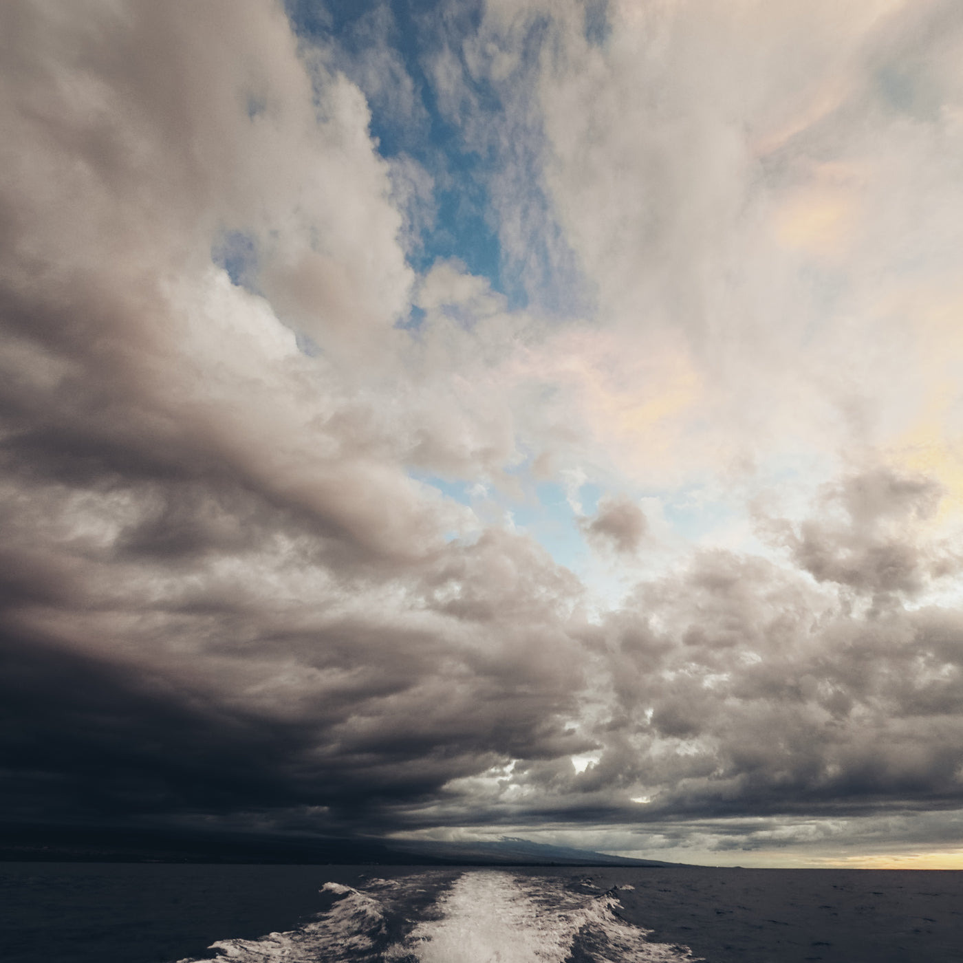 AMB95 Hawaii: Humpback Whales