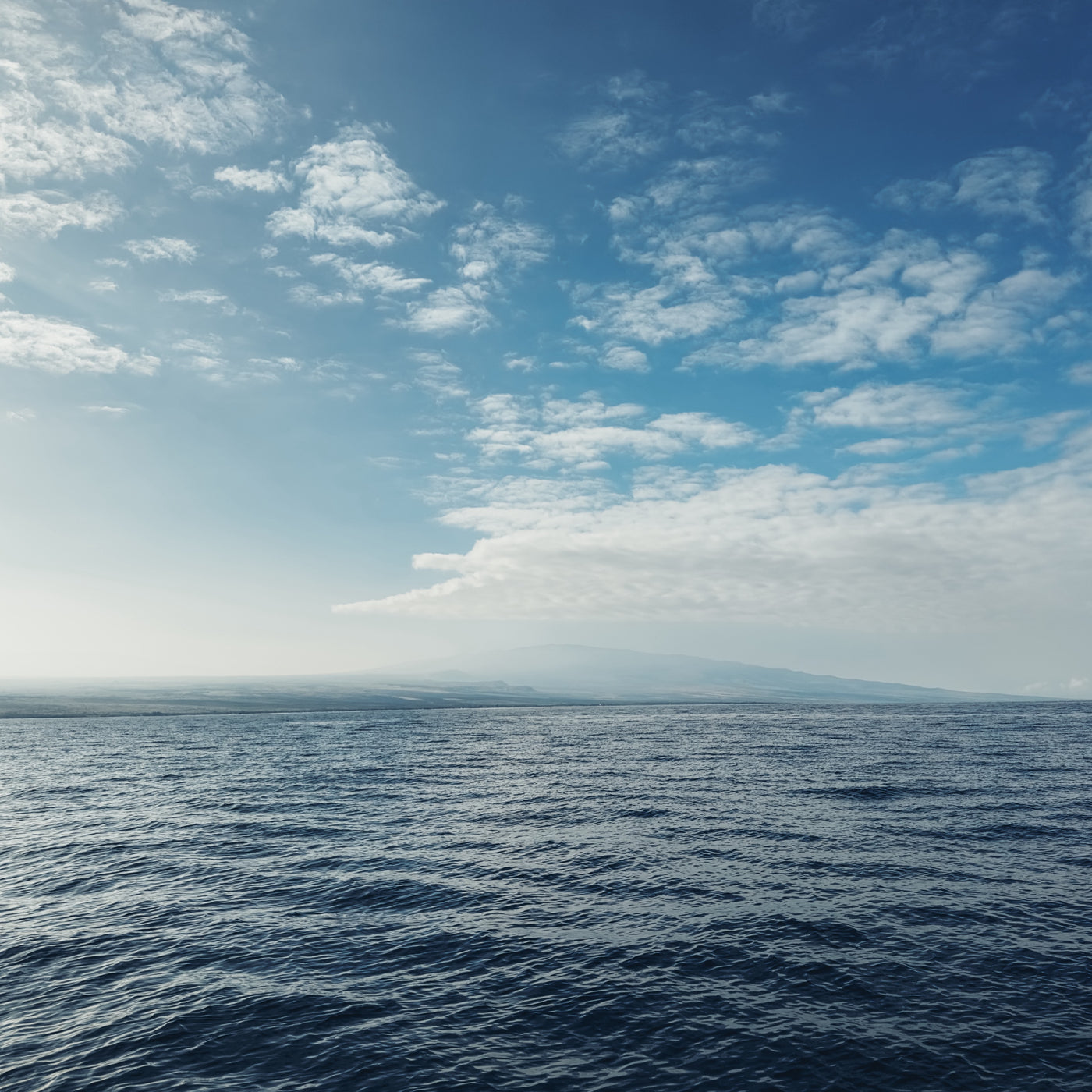 AMB95 Hawaii: Humpback Whales