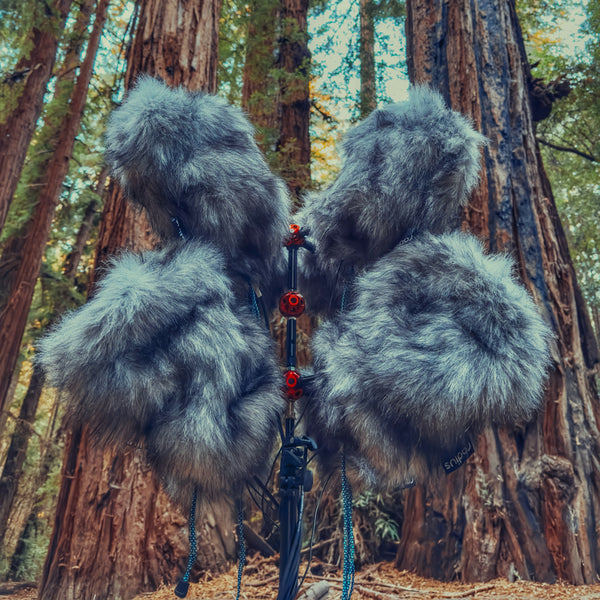 AMB91 Redwoods: Active Nature