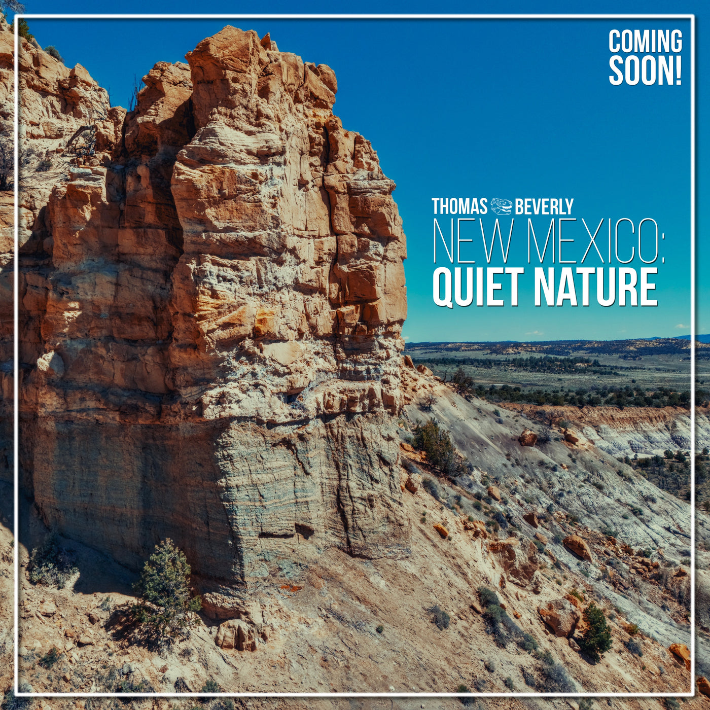 AMB84 New Mexico: Quiet Nature