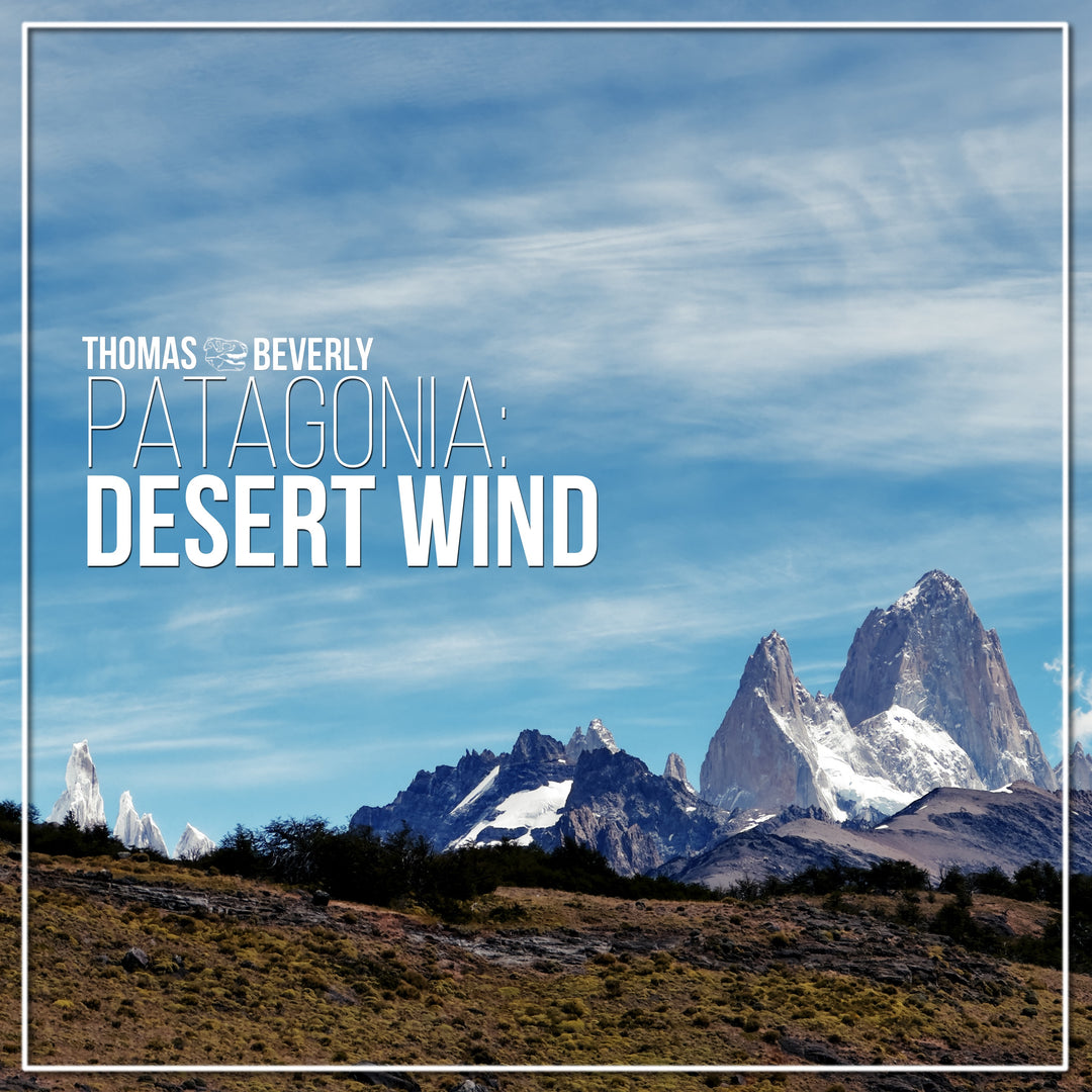 Wild desert patagonia discount