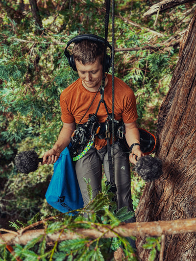 AMB92 Redwoods: Quiet Nature