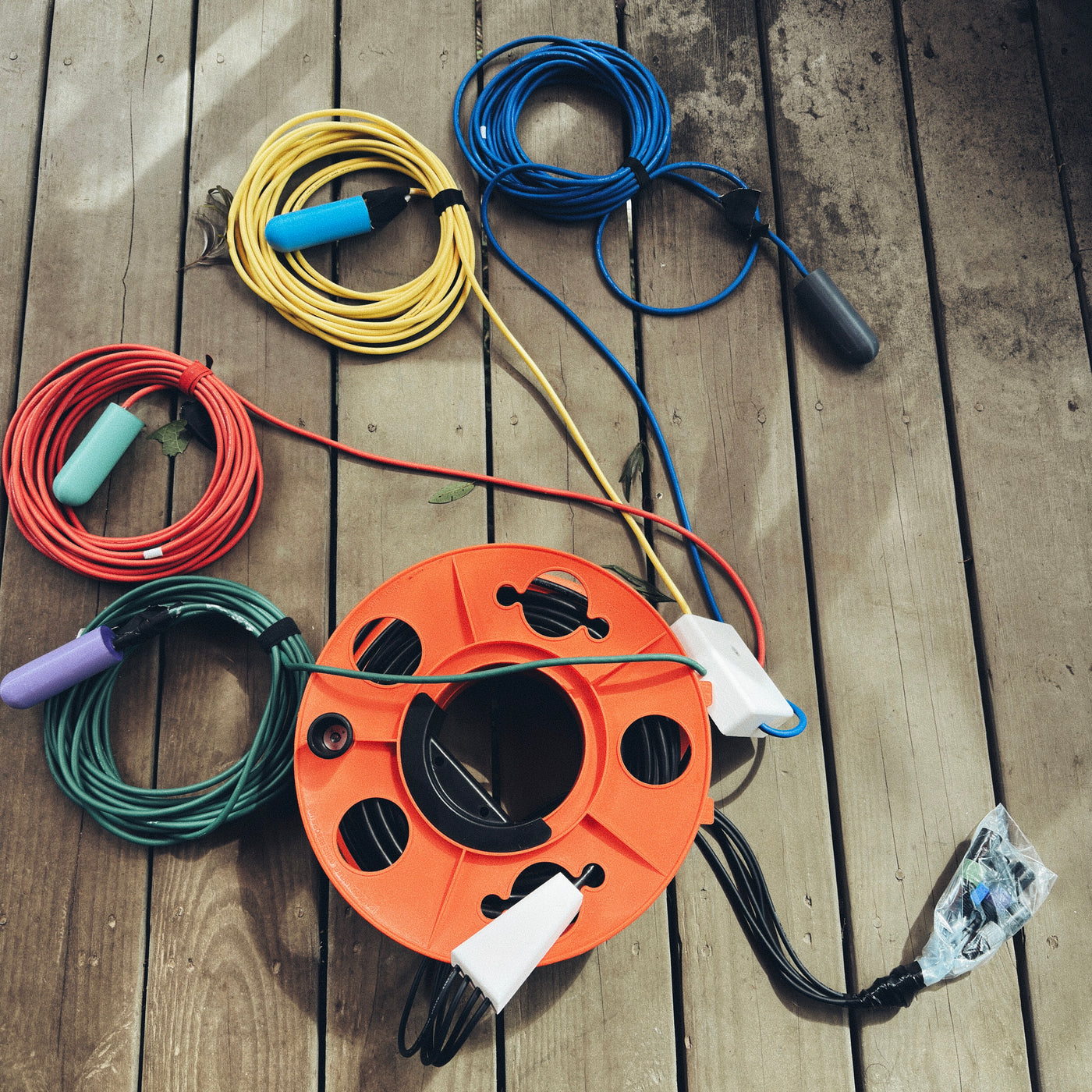 AMB95 Hawaii: Humpback Whales