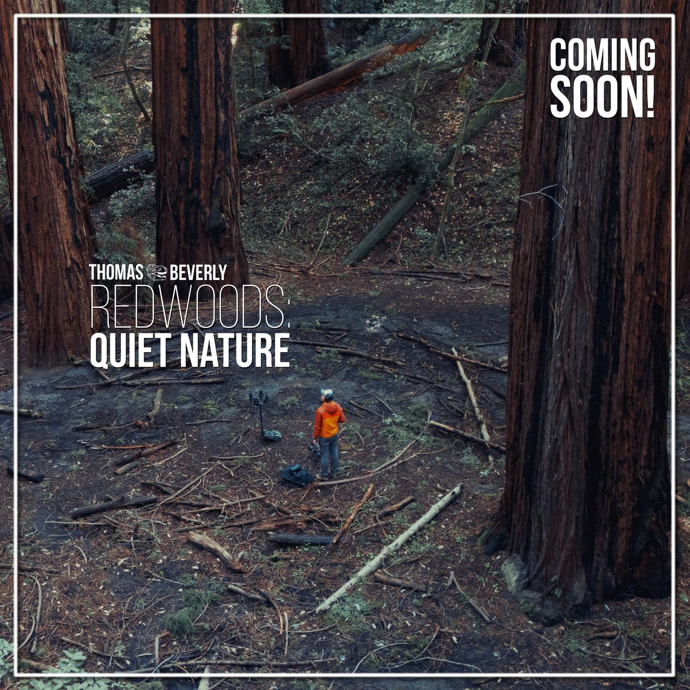 AMB92 Redwoods: Quiet Nature