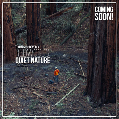 AMB92 Redwoods: Quiet Nature