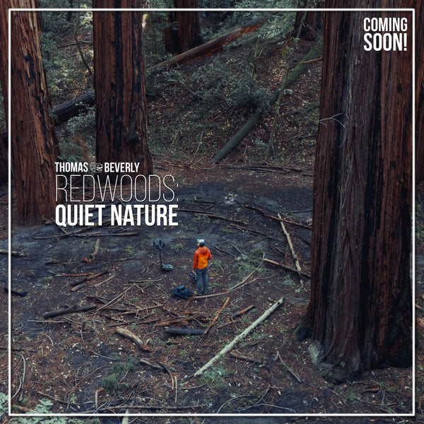 AMB86 Redwoods: Quiet Nature