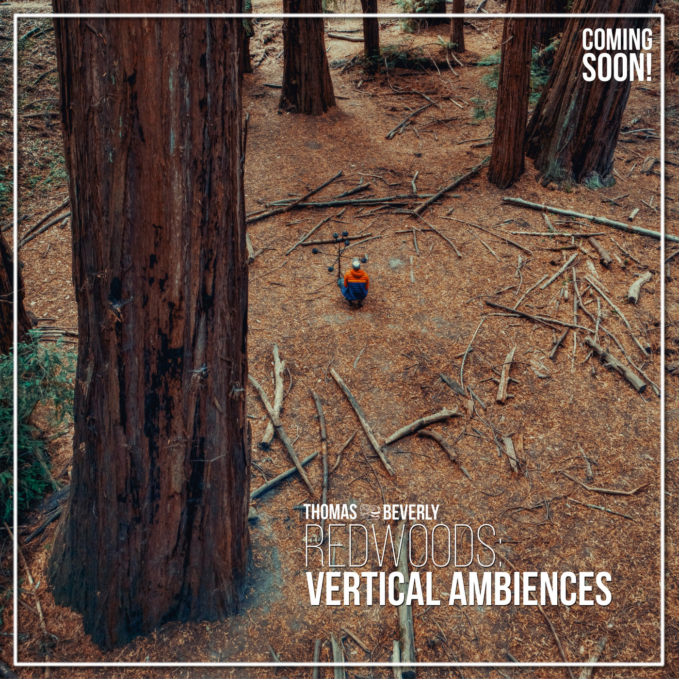 AMB93 Redwoods: Vertical Ambiences