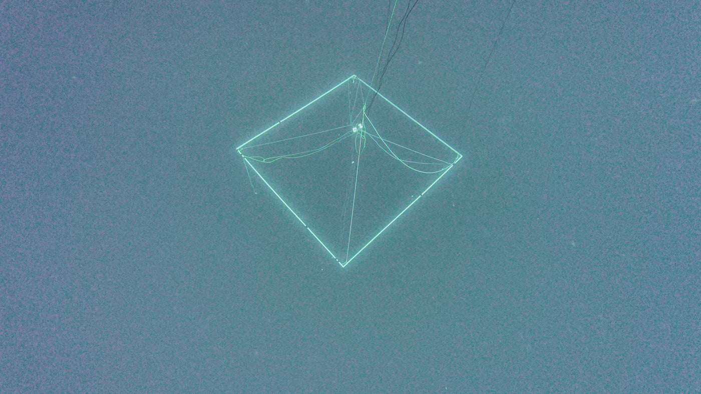 AMB95 Hawaii: Humpback Whales