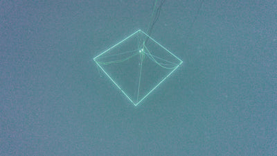 AMB95 Hawaii: Humpback Whales