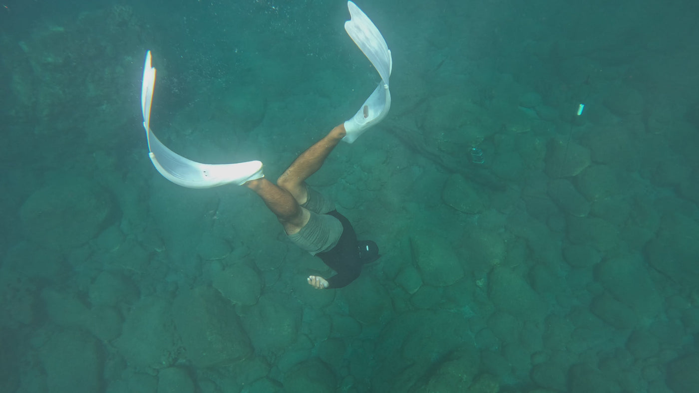 AMB94 Hawaii: Coral Reefs