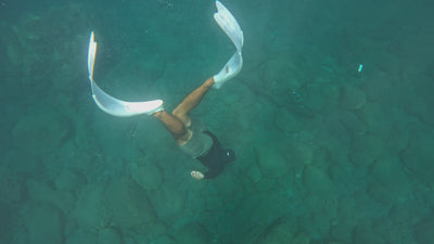 AMB94 Hawaii: Coral Reefs