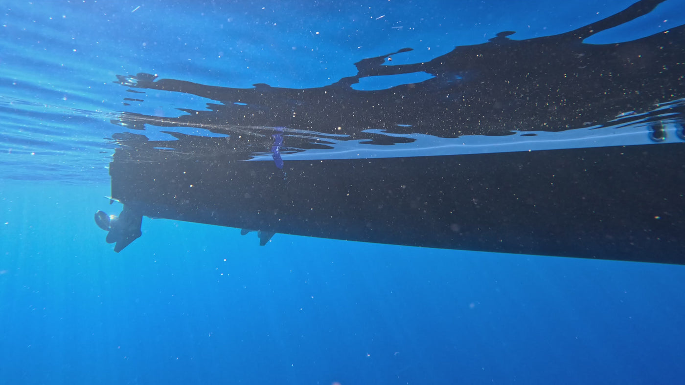 AMB95 Hawaii: Humpback Whales