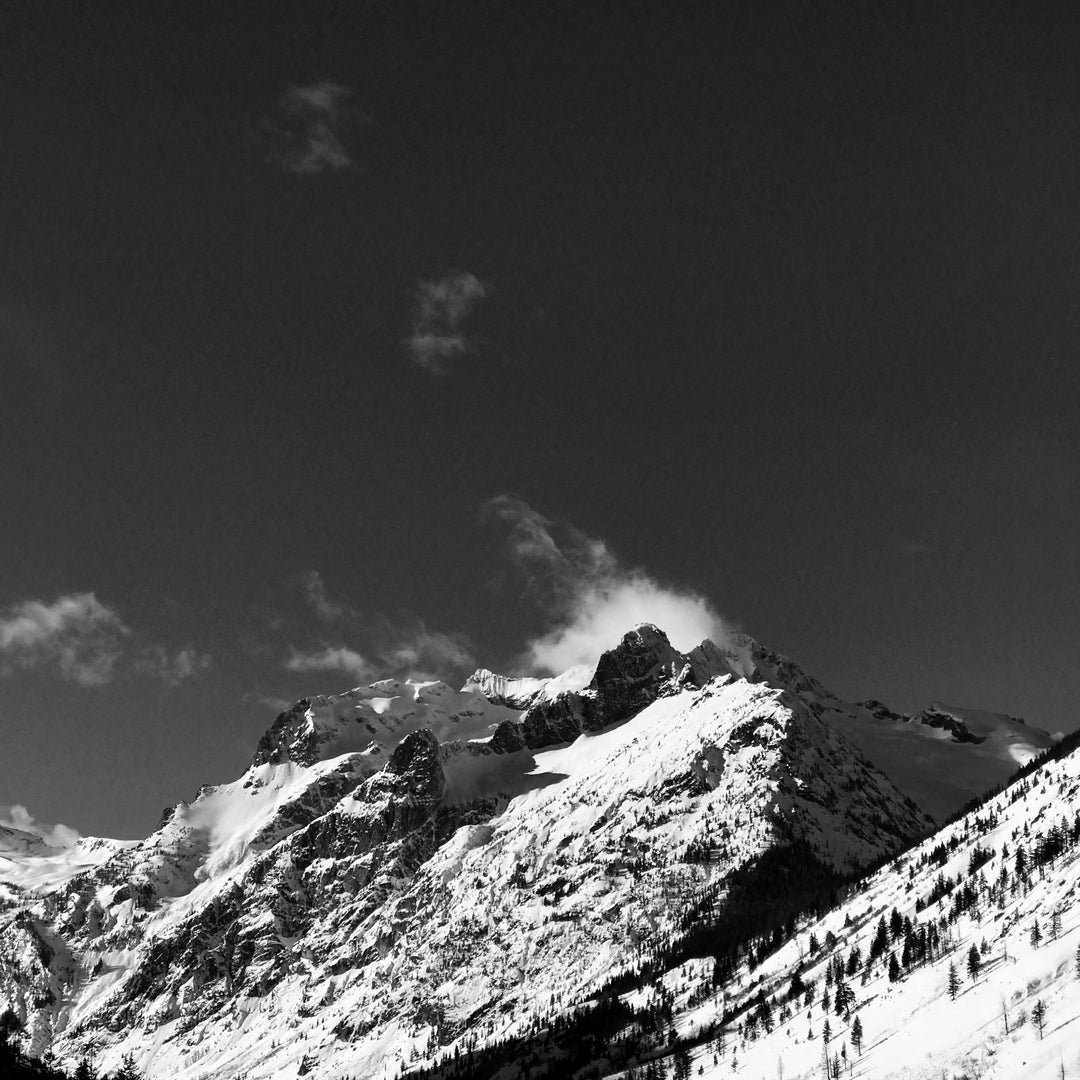 SD21 Avalanche and Tree-alanche – Thomas Rex Beverly Audio