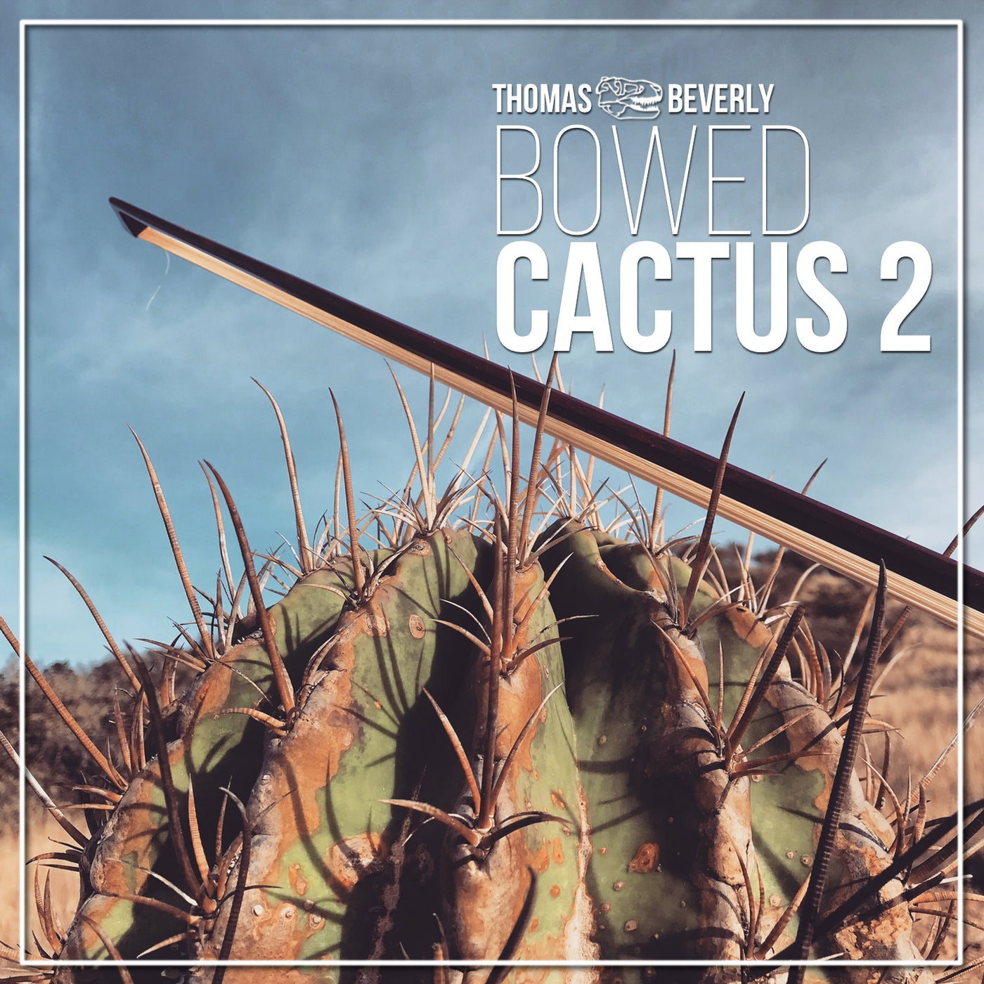 SD13 Bowed Cactus 2