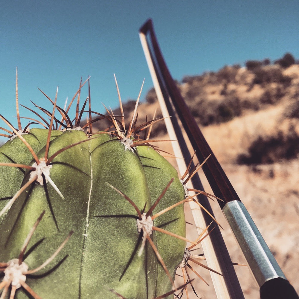 SD07 Bowed Cactus