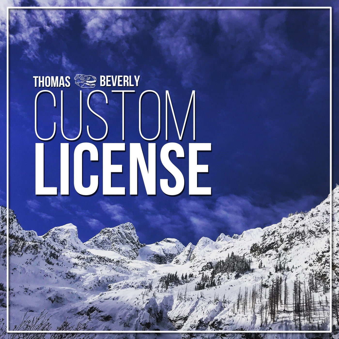 Custom License
