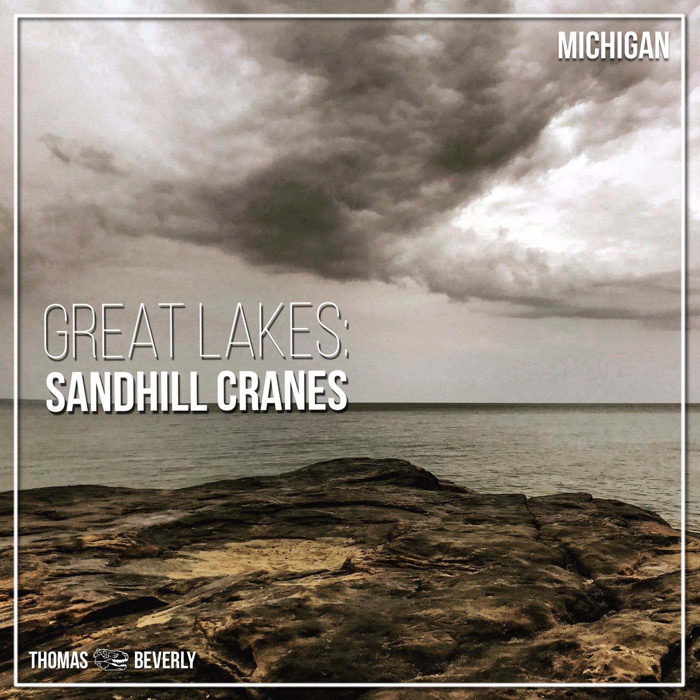 AMB19 Great Lakes: Sandhill Cranes