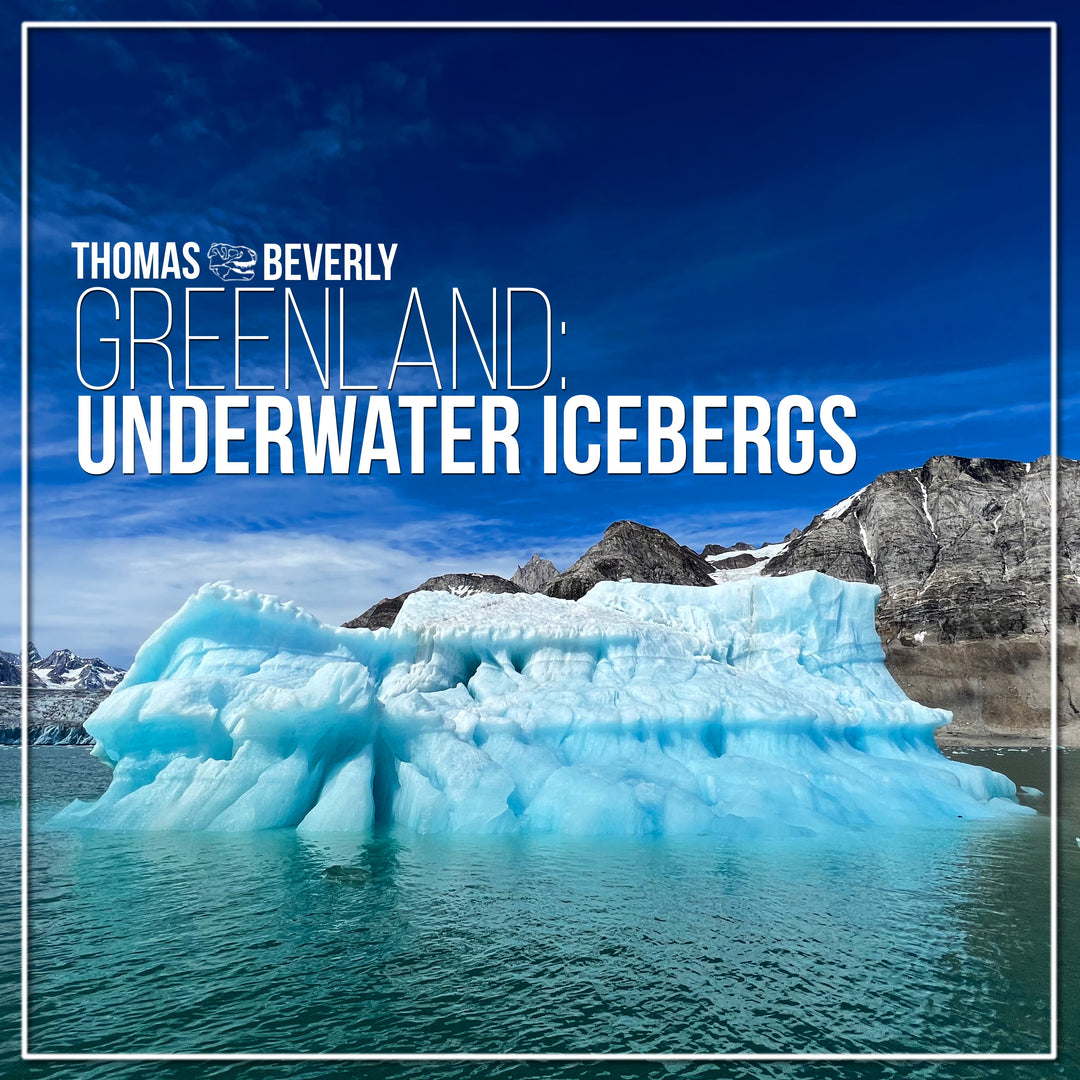 AMB56 Greenland: Underwater Icebergs – Thomas Rex Beverly Audio