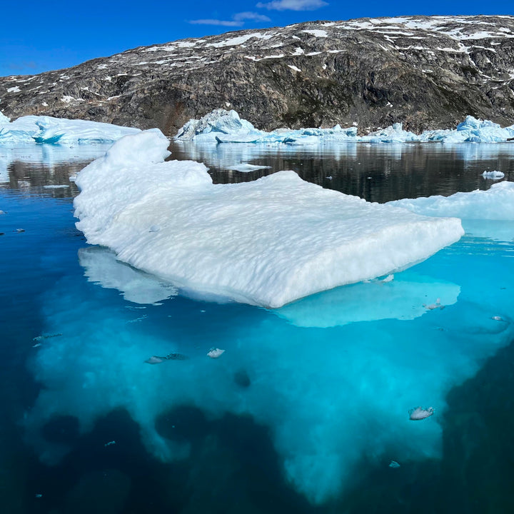 AMB56 Greenland: Underwater Icebergs – Thomas Rex Beverly Audio