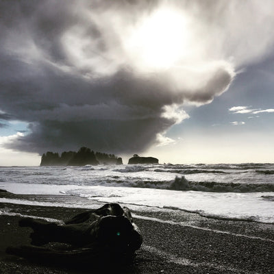 AMB16 Pacific Northwest: Storm Waves