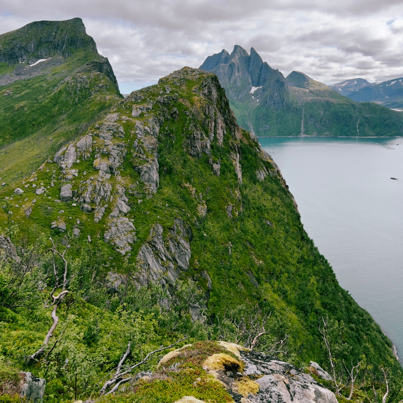 AMB64 Norway: Quiet Nature