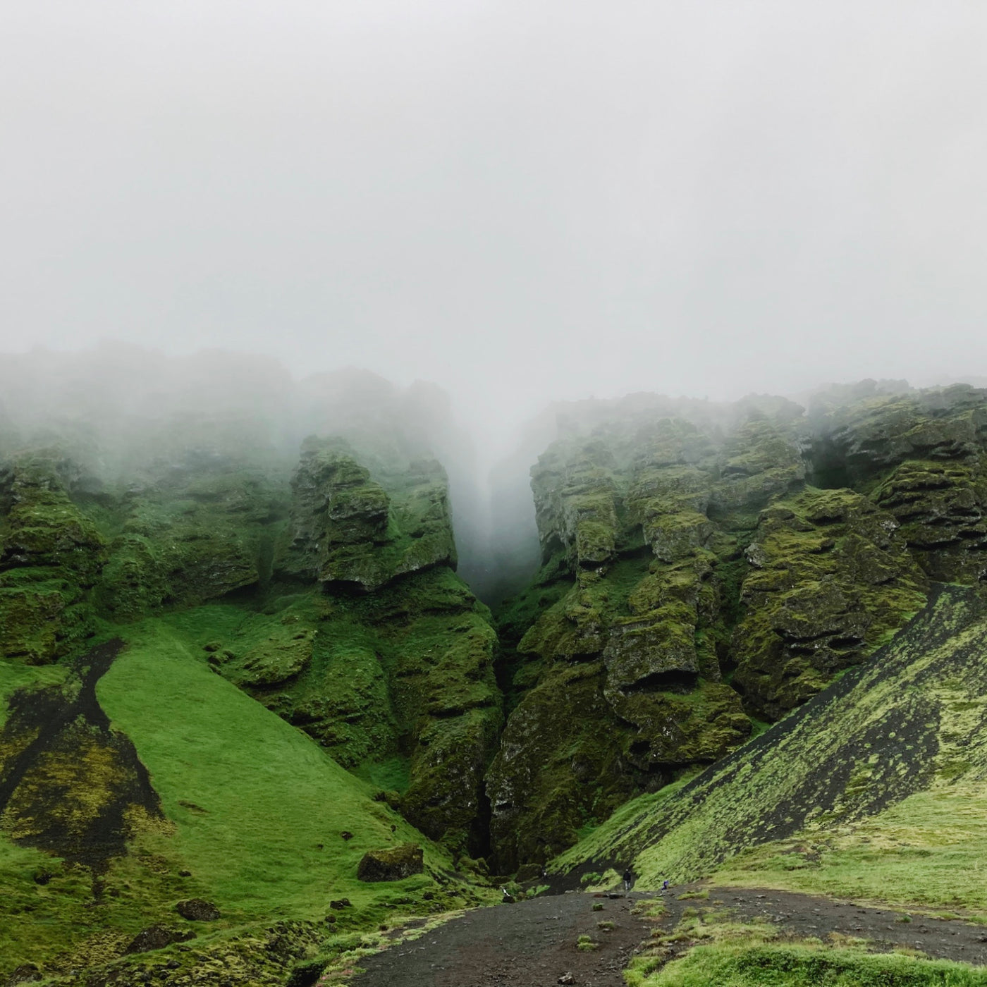 AMB46 Iceland: Quiet Nature