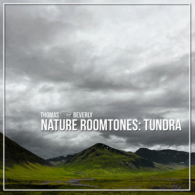AMB43 Nature Roomtones: Tundra
