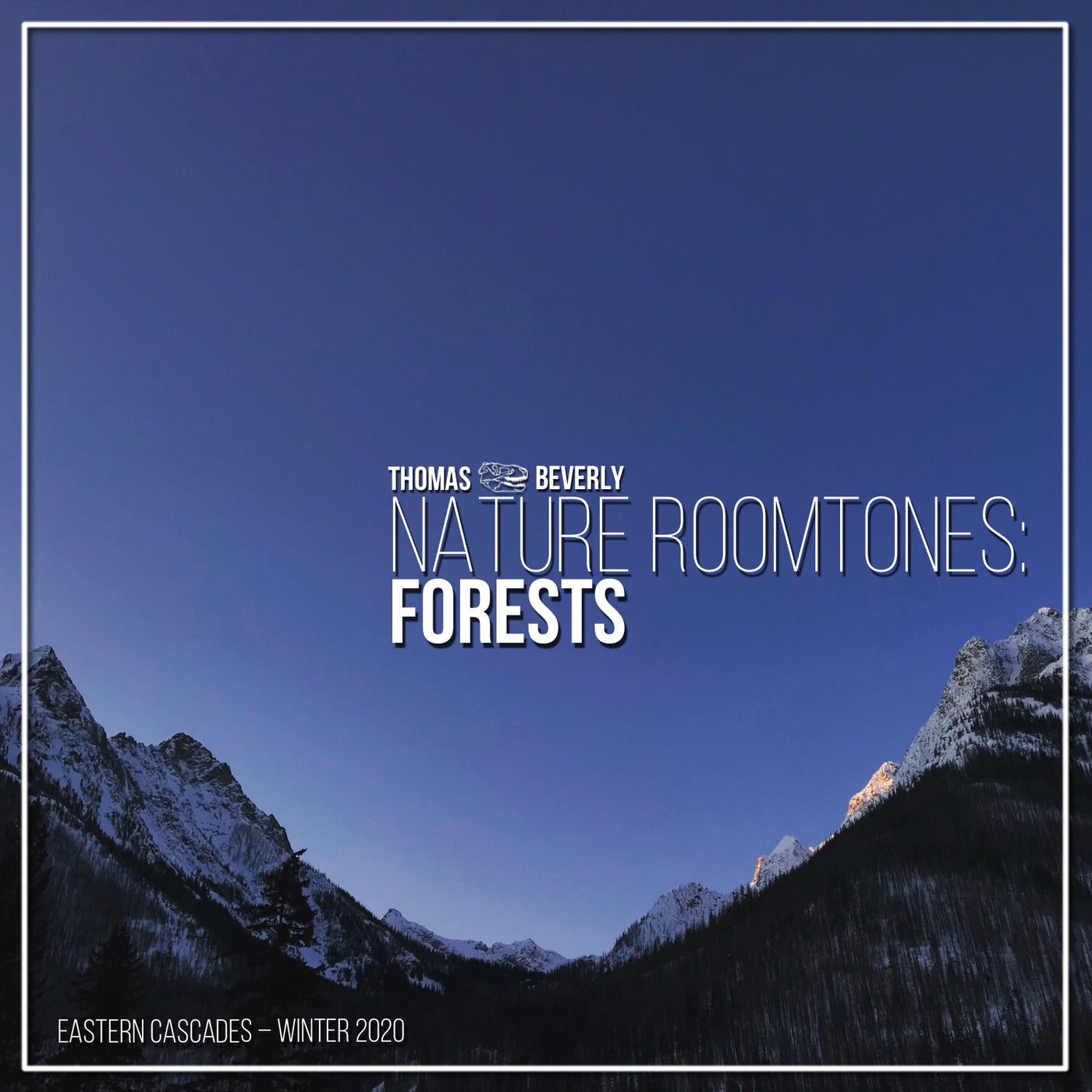 AMB30 Nature Roomtones: Forests