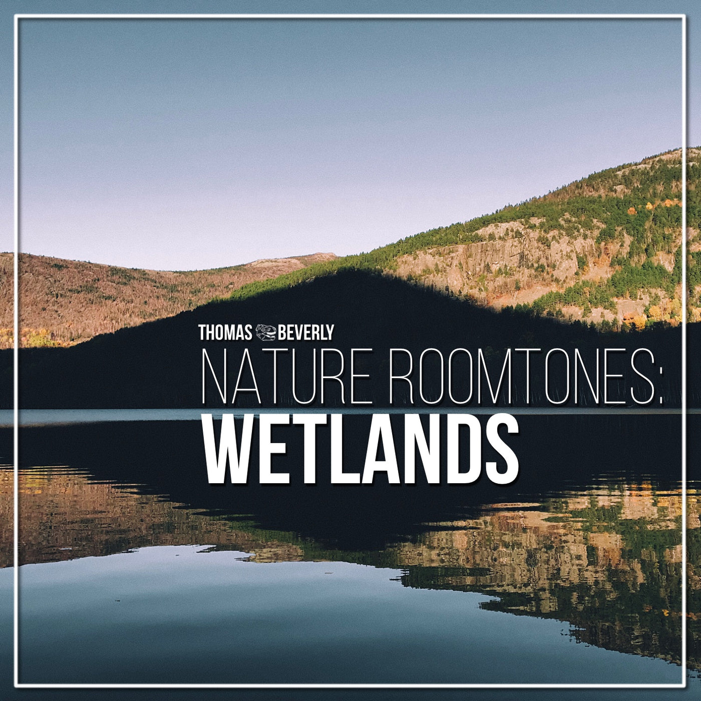AMB40 Nature Roomtones: Wetlands