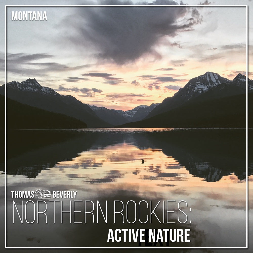 AMB12 Northern Rockies: Active Nature