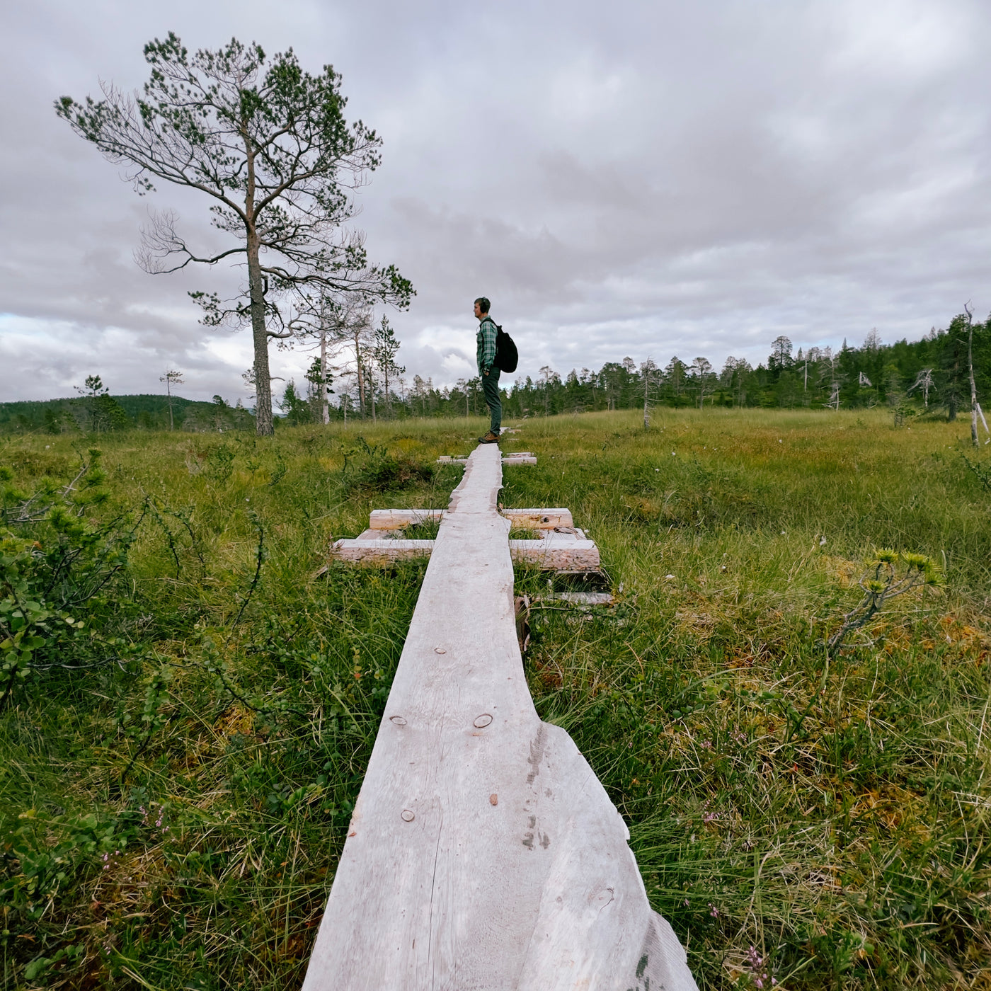 AMB67 Norway: Active Nature – Thomas Rex Beverly Audio