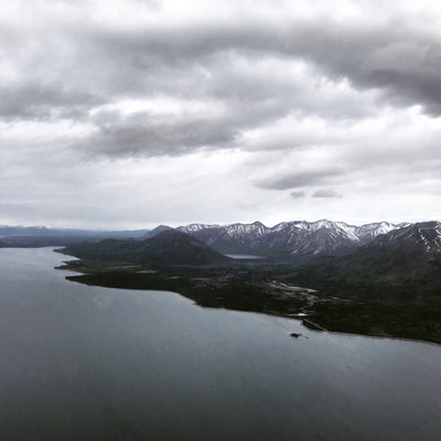 AMB26 Alaska: Quiet Nature